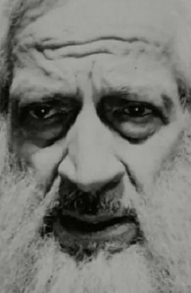 Фотография актёра Стивен Перлман