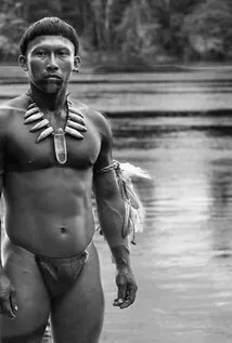 Фотография актёра Нибио Торрес