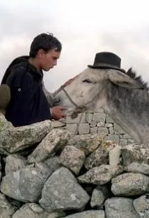 Фотография актёра Франческо Касиса