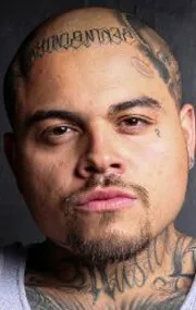 Фотография актёра Джои Абрил