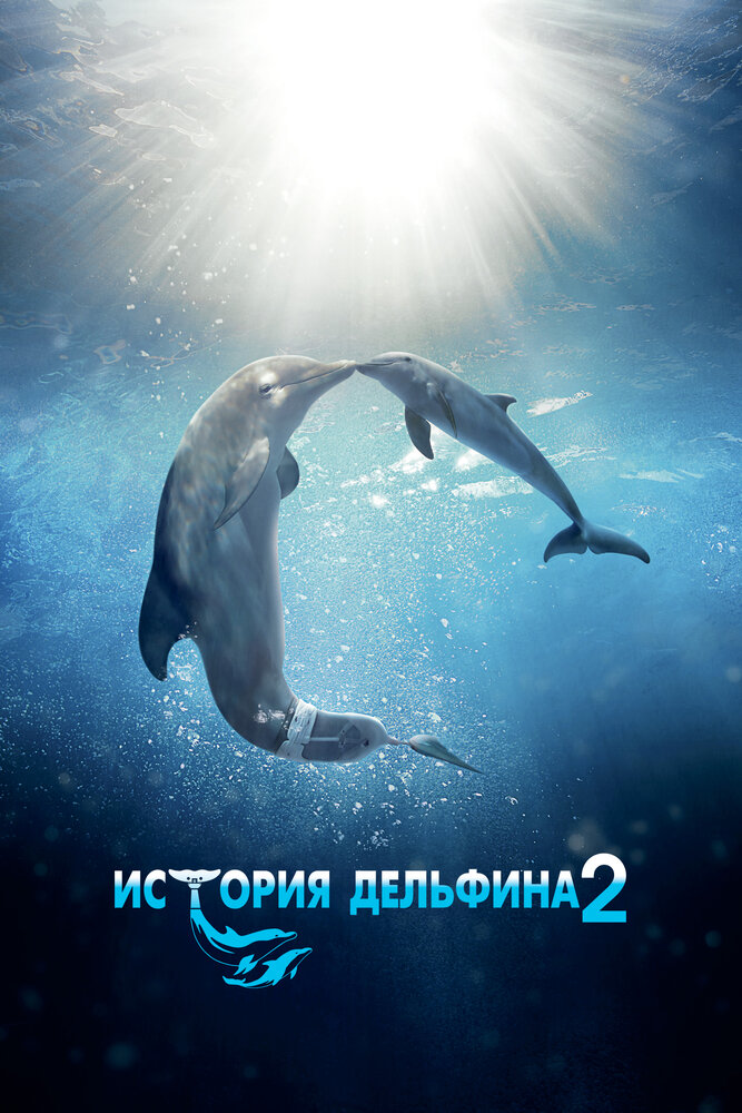 История дельфина 2 смотреть онлайн бесплатно в хорошем качестве