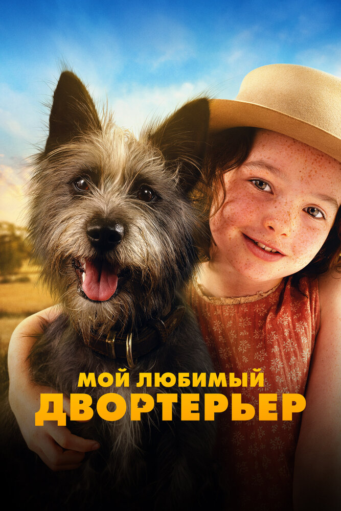 Мой любимый двортерьер смотреть онлайн бесплатно в хорошем качестве