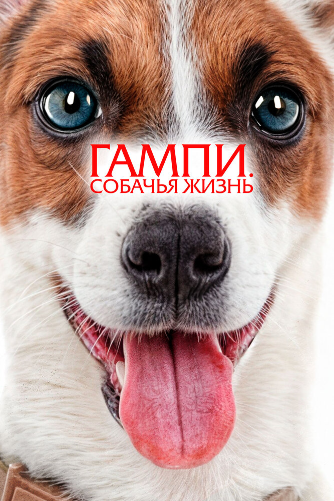 Невероятные приключения Гампи 2 смотреть онлайн бесплатно в хорошем качестве