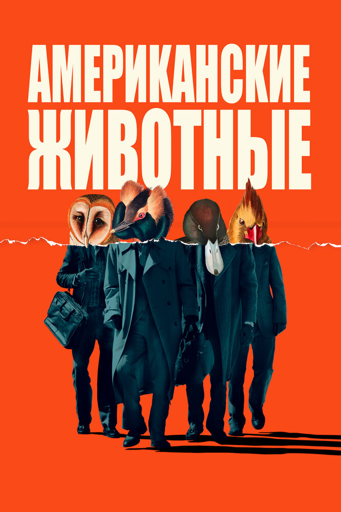 Американские животные смотреть онлайн бесплатно в хорошем качестве