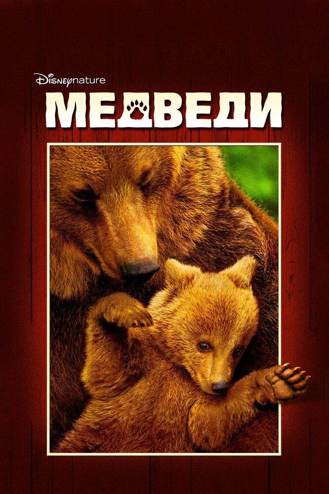 Медведи смотреть онлайн бесплатно в хорошем качестве