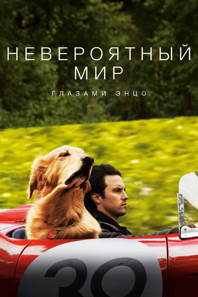 Невероятный мир глазами Энцо смотреть онлайн бесплатно в хорошем качестве