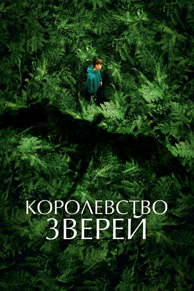 Королевство зверей смотреть онлайн бесплатно в хорошем качестве