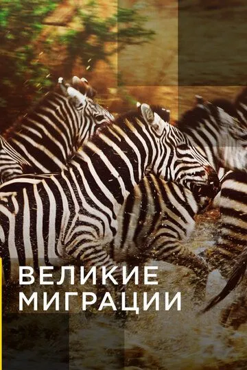 Великие миграции смотреть онлайн бесплатно в хорошем качестве
