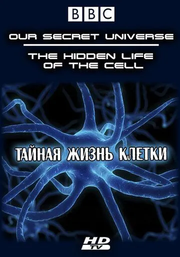 Внутренняя вселенная: Тайная жизнь клетки смотреть онлайн бесплатно в хорошем качестве