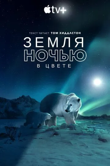 Земля ночью в цвете смотреть онлайн бесплатно в хорошем качестве