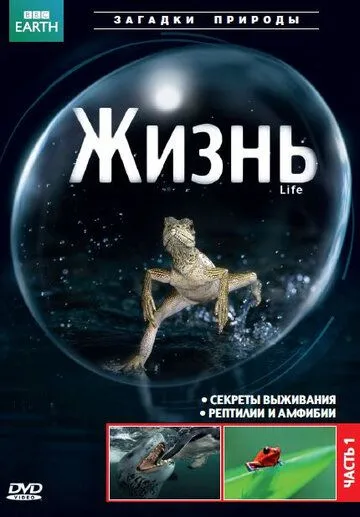 BBC: Жизнь смотреть онлайн бесплатно в хорошем качестве