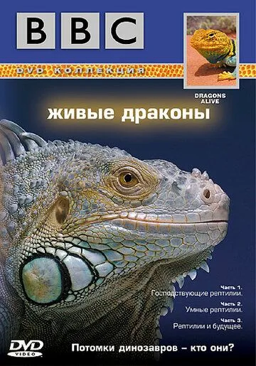BBC: Живые драконы смотреть онлайн бесплатно в хорошем качестве