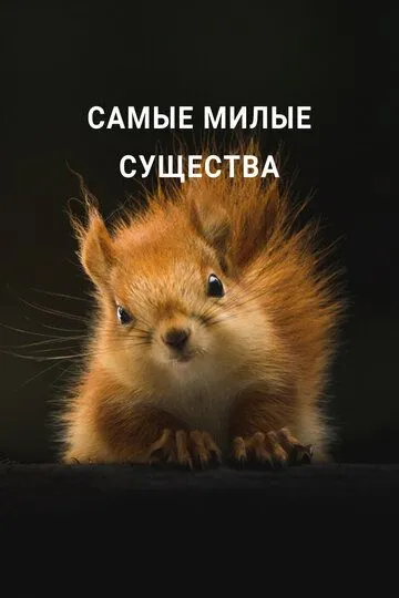 Самые милые существа смотреть онлайн бесплатно в хорошем качестве