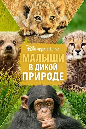 Малыши в дикой природе смотреть онлайн бесплатно в хорошем качестве