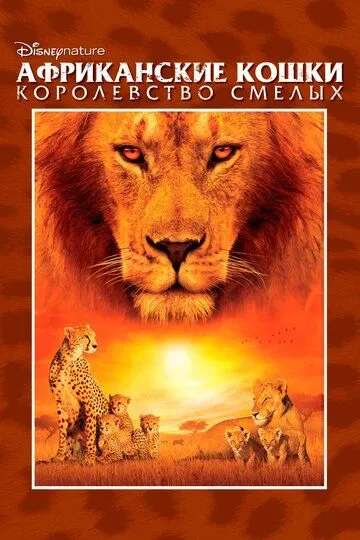 Африканские кошки: Королевство смелых смотреть онлайн бесплатно в хорошем качестве