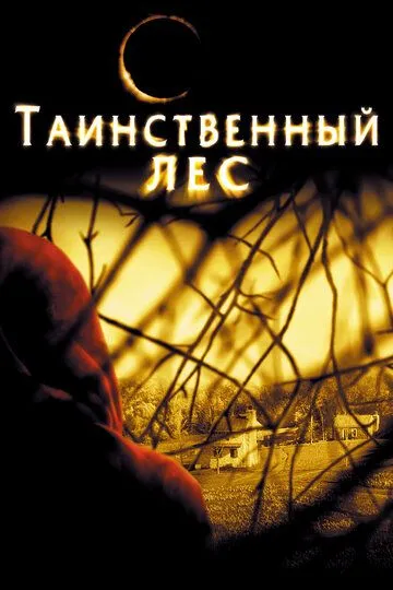 Таинственный лес смотреть онлайн бесплатно в хорошем качестве