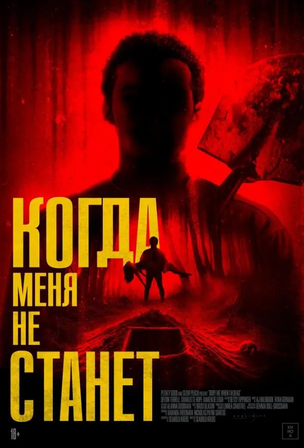 Когда меня не станет смотреть онлайн бесплатно в хорошем качестве